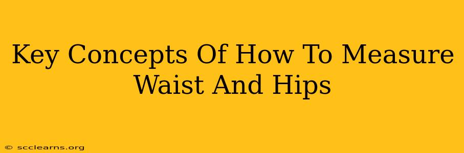 Key Concepts Of How To Measure Waist And Hips