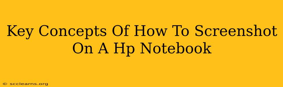 Key Concepts Of How To Screenshot On A Hp Notebook