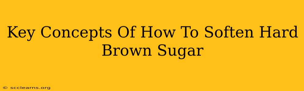 Key Concepts Of How To Soften Hard Brown Sugar