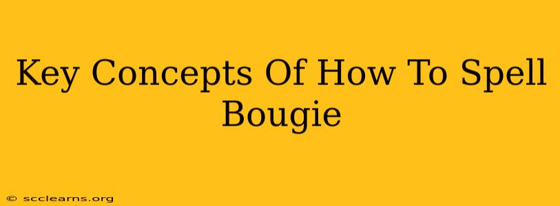 Key Concepts Of How To Spell Bougie