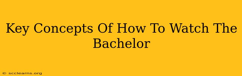 Key Concepts Of How To Watch The Bachelor