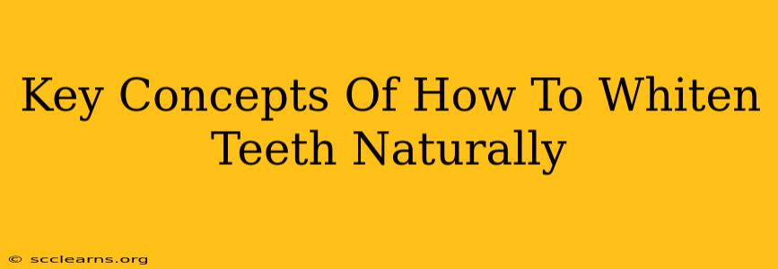 Key Concepts Of How To Whiten Teeth Naturally