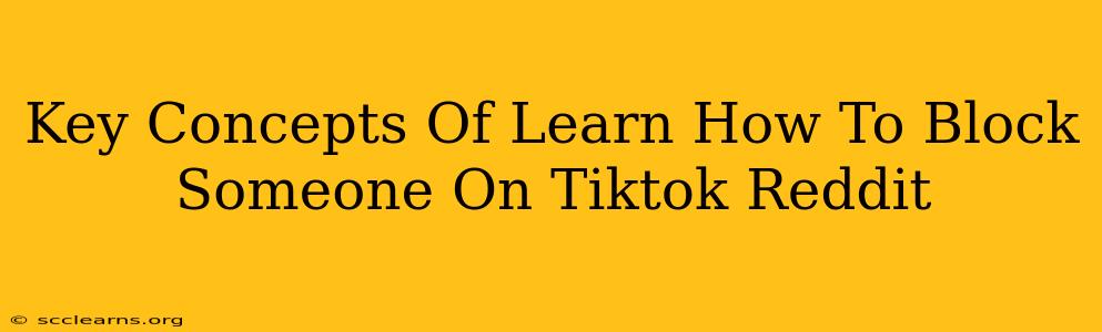 Key Concepts Of Learn How To Block Someone On Tiktok Reddit