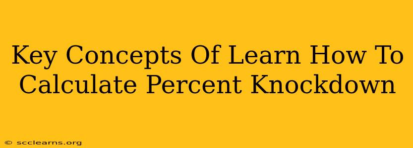 Key Concepts Of Learn How To Calculate Percent Knockdown