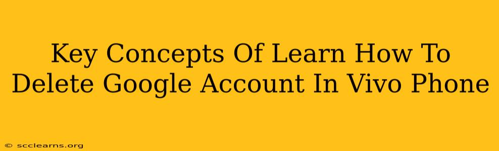 Key Concepts Of Learn How To Delete Google Account In Vivo Phone