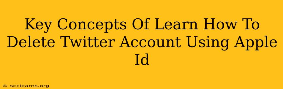 Key Concepts Of Learn How To Delete Twitter Account Using Apple Id