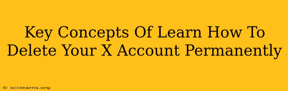 Key Concepts Of Learn How To Delete Your X Account Permanently