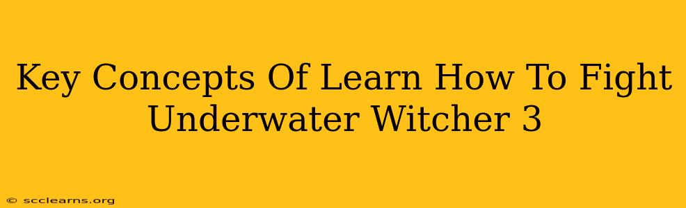 Key Concepts Of Learn How To Fight Underwater Witcher 3