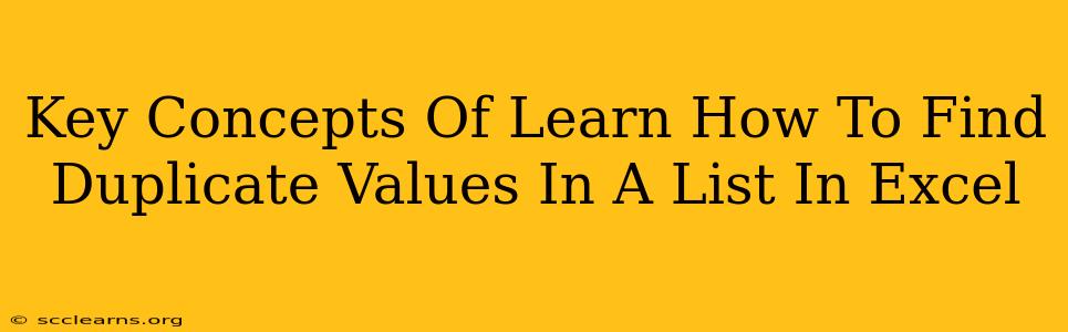 Key Concepts Of Learn How To Find Duplicate Values In A List In Excel