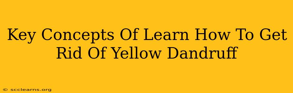 Key Concepts Of Learn How To Get Rid Of Yellow Dandruff