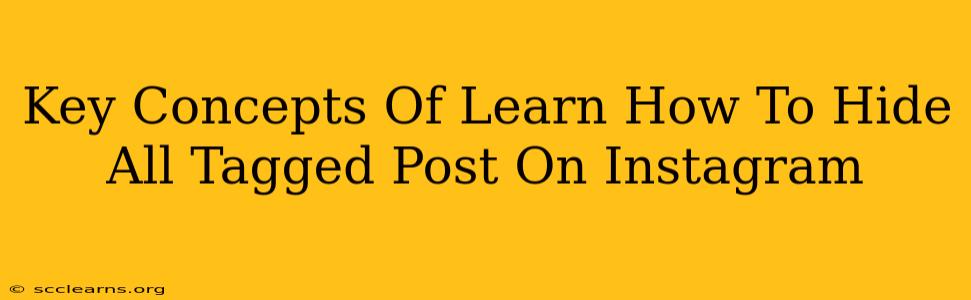 Key Concepts Of Learn How To Hide All Tagged Post On Instagram