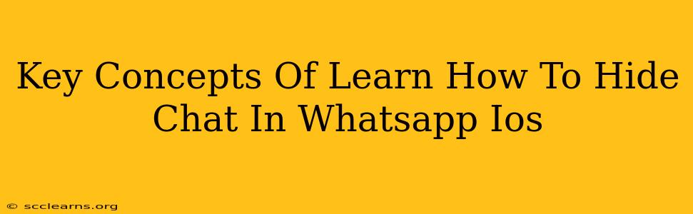 Key Concepts Of Learn How To Hide Chat In Whatsapp Ios