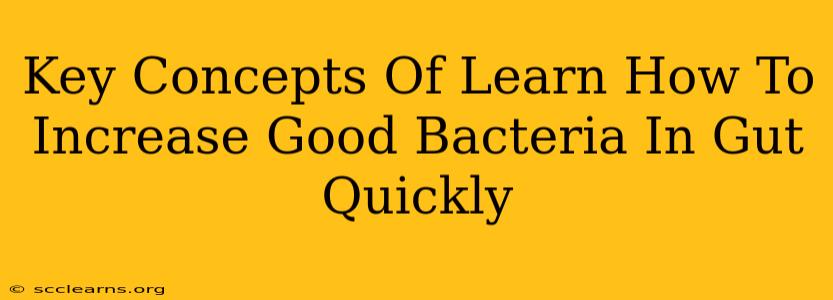 Key Concepts Of Learn How To Increase Good Bacteria In Gut Quickly