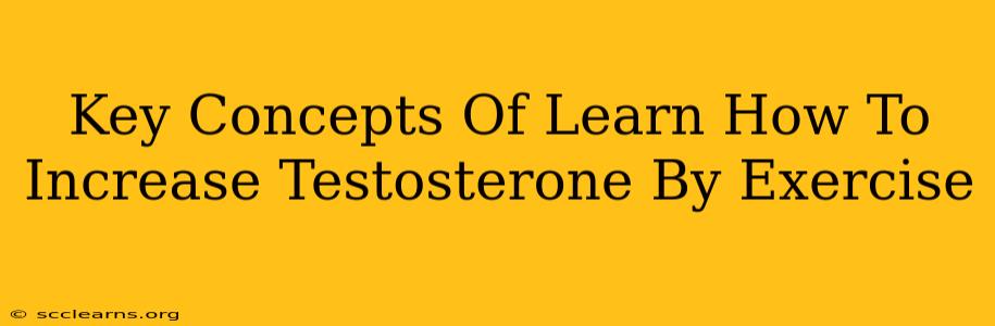 Key Concepts Of Learn How To Increase Testosterone By Exercise