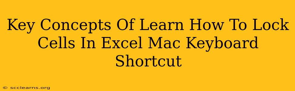 Key Concepts Of Learn How To Lock Cells In Excel Mac Keyboard Shortcut