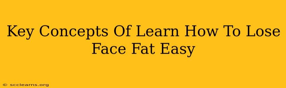 Key Concepts Of Learn How To Lose Face Fat Easy