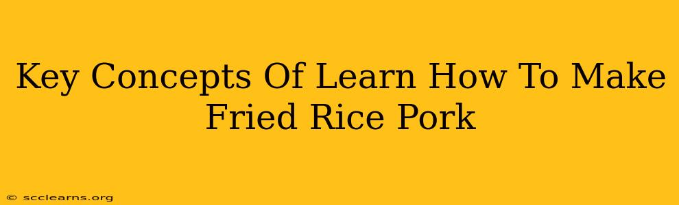 Key Concepts Of Learn How To Make Fried Rice Pork