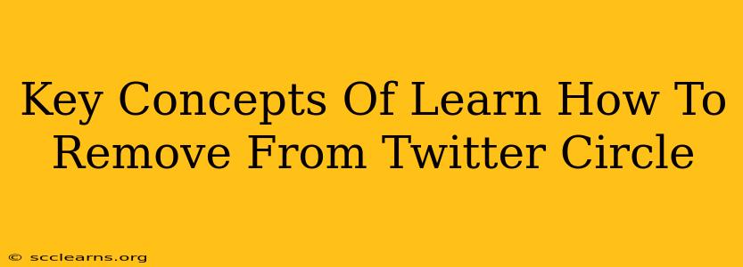 Key Concepts Of Learn How To Remove From Twitter Circle