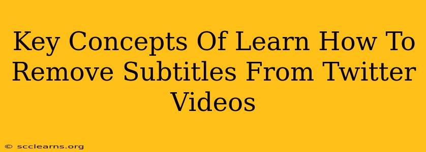 Key Concepts Of Learn How To Remove Subtitles From Twitter Videos