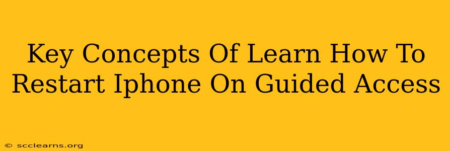 Key Concepts Of Learn How To Restart Iphone On Guided Access