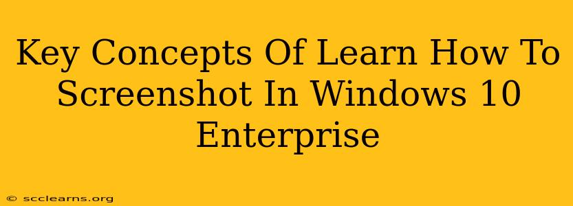 Key Concepts Of Learn How To Screenshot In Windows 10 Enterprise