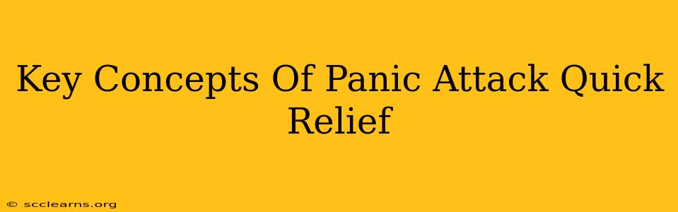 Key Concepts Of Panic Attack Quick Relief