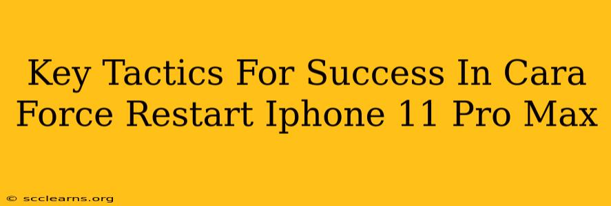 Key Tactics For Success In Cara Force Restart Iphone 11 Pro Max