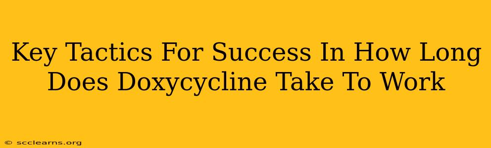 Key Tactics For Success In How Long Does Doxycycline Take To Work