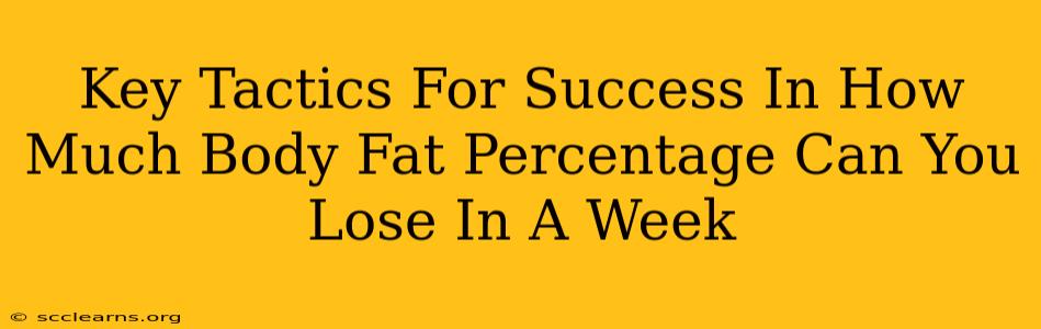 Key Tactics For Success In How Much Body Fat Percentage Can You Lose In A Week