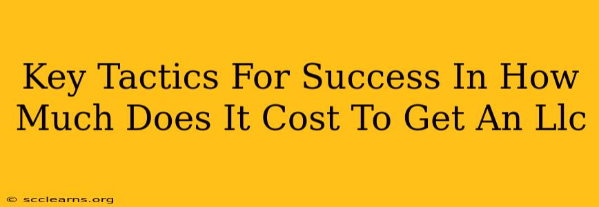 Key Tactics For Success In How Much Does It Cost To Get An Llc