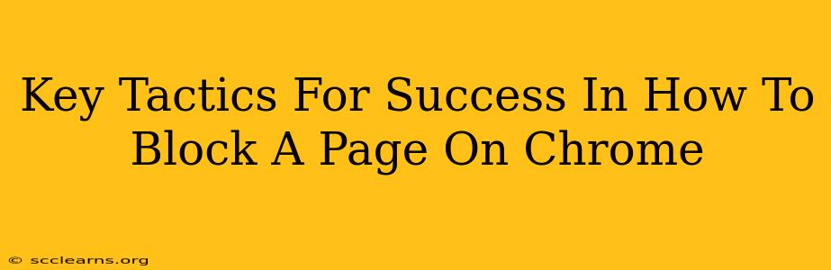 Key Tactics For Success In How To Block A Page On Chrome