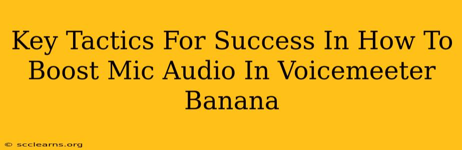 Key Tactics For Success In How To Boost Mic Audio In Voicemeeter Banana