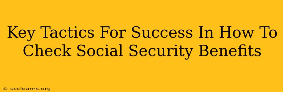 Key Tactics For Success In How To Check Social Security Benefits