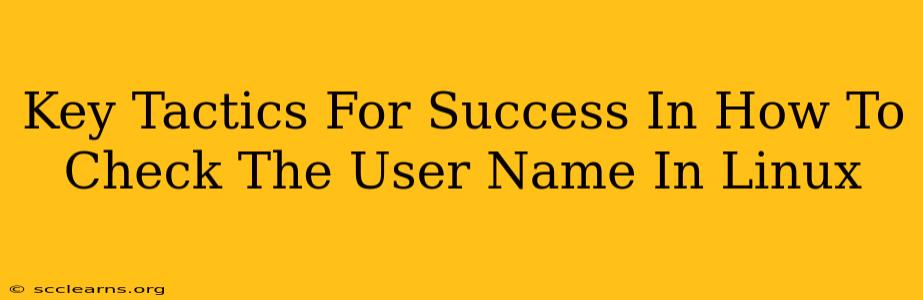 Key Tactics For Success In How To Check The User Name In Linux