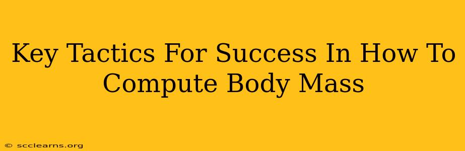 Key Tactics For Success In How To Compute Body Mass