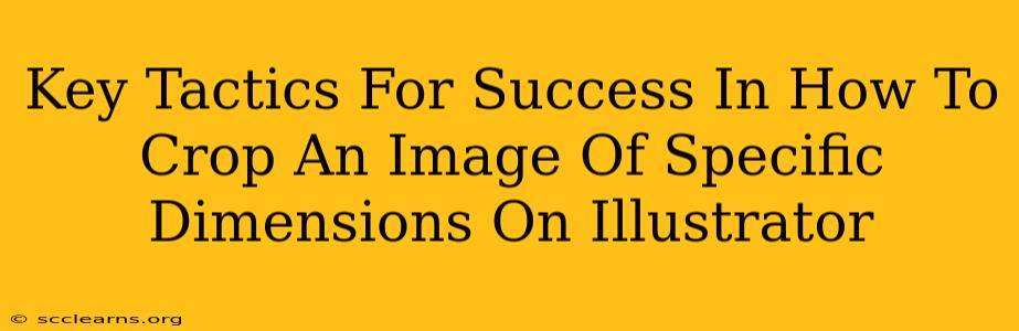 Key Tactics For Success In How To Crop An Image Of Specific Dimensions On Illustrator