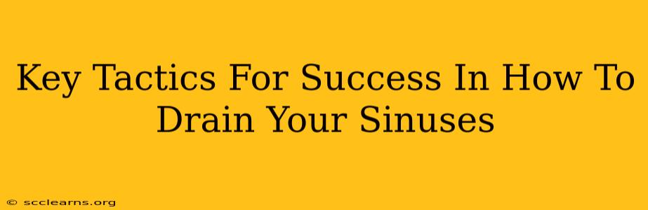 Key Tactics For Success In How To Drain Your Sinuses