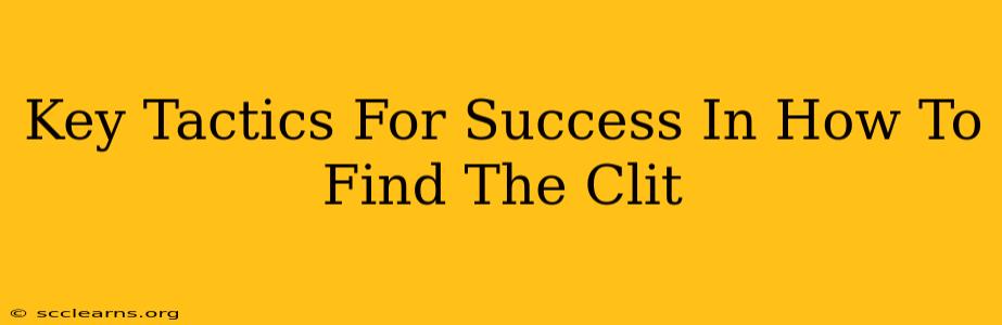 Key Tactics For Success In How To Find The Clit