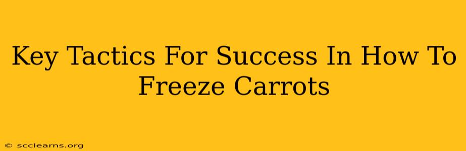 Key Tactics For Success In How To Freeze Carrots