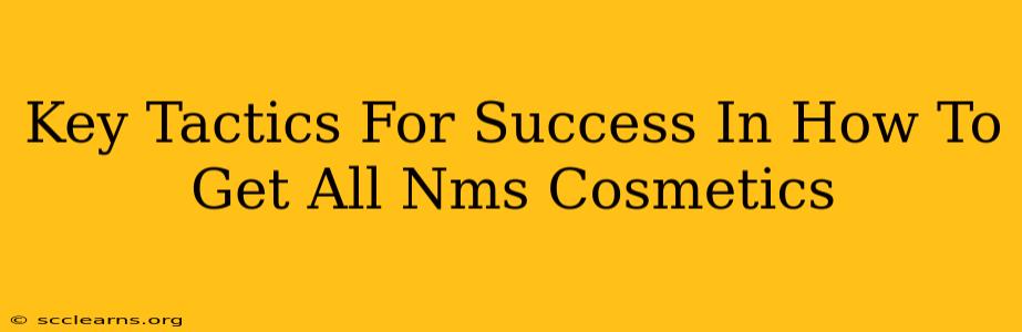 Key Tactics For Success In How To Get All Nms Cosmetics