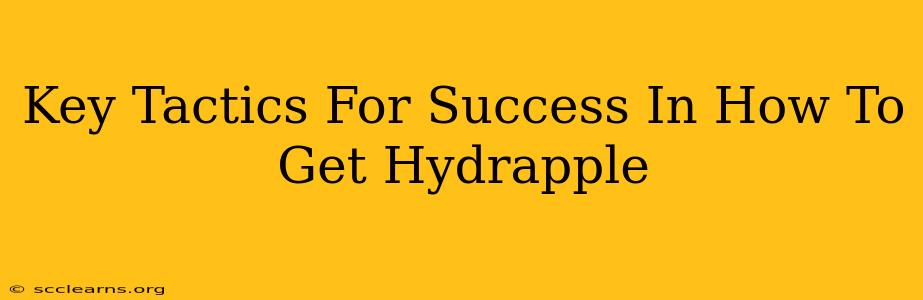 Key Tactics For Success In How To Get Hydrapple