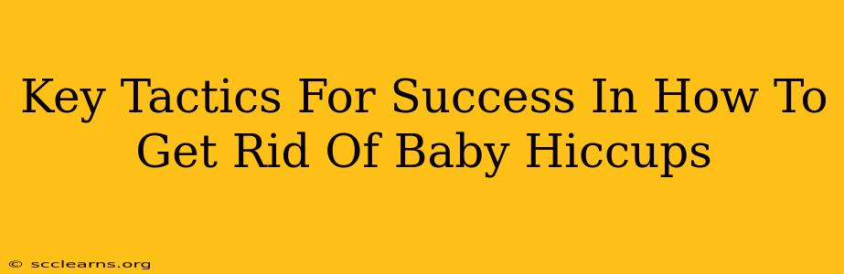 Key Tactics For Success In How To Get Rid Of Baby Hiccups