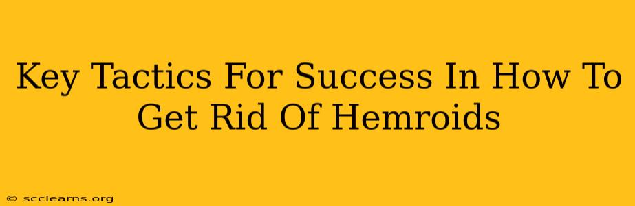 Key Tactics For Success In How To Get Rid Of Hemroids