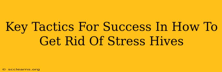 Key Tactics For Success In How To Get Rid Of Stress Hives