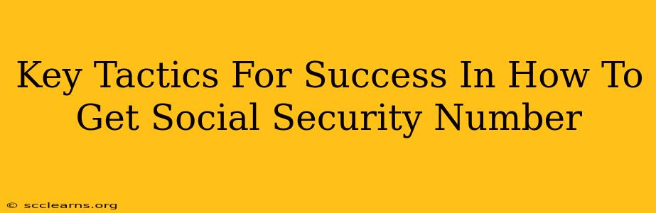 Key Tactics For Success In How To Get Social Security Number