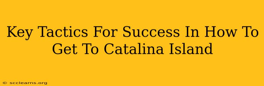 Key Tactics For Success In How To Get To Catalina Island