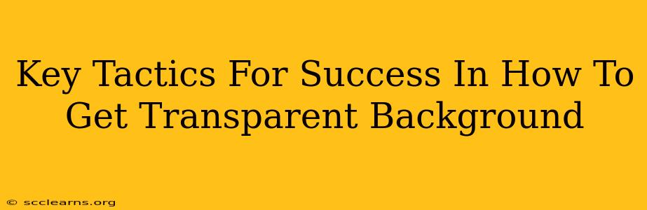 Key Tactics For Success In How To Get Transparent Background