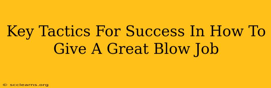 Key Tactics For Success In How To Give A Great Blow Job