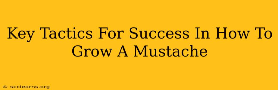 Key Tactics For Success In How To Grow A Mustache