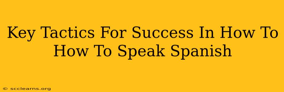 Key Tactics For Success In How To How To Speak Spanish